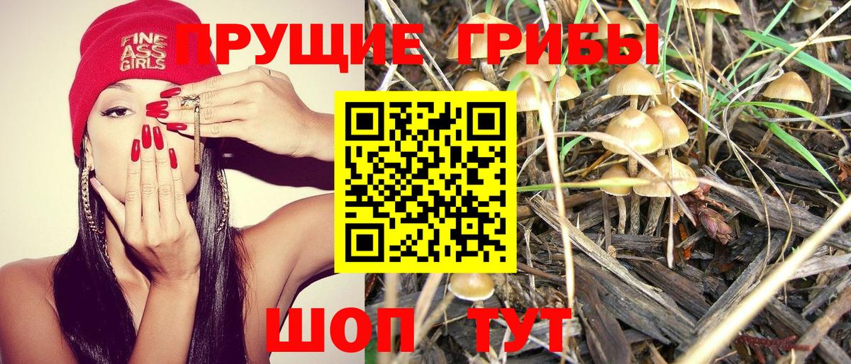 Псилоцибиновые грибы Cubensis Бузулук