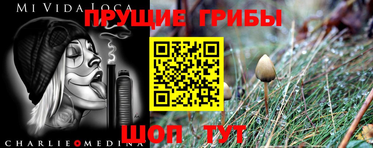 Бузулук  Псилоцибиновые грибы GOLDEN TEACHER  Вход с VPN  Галлюциногенные грибы Psilocybine cubensis 